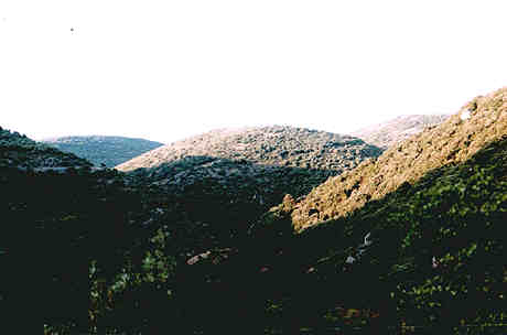 hills above Velieux